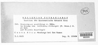Image of Paranectriella juruana